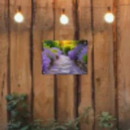 Lavendelpad bij zonsondergang tuinposter los doek klein -sfeer1