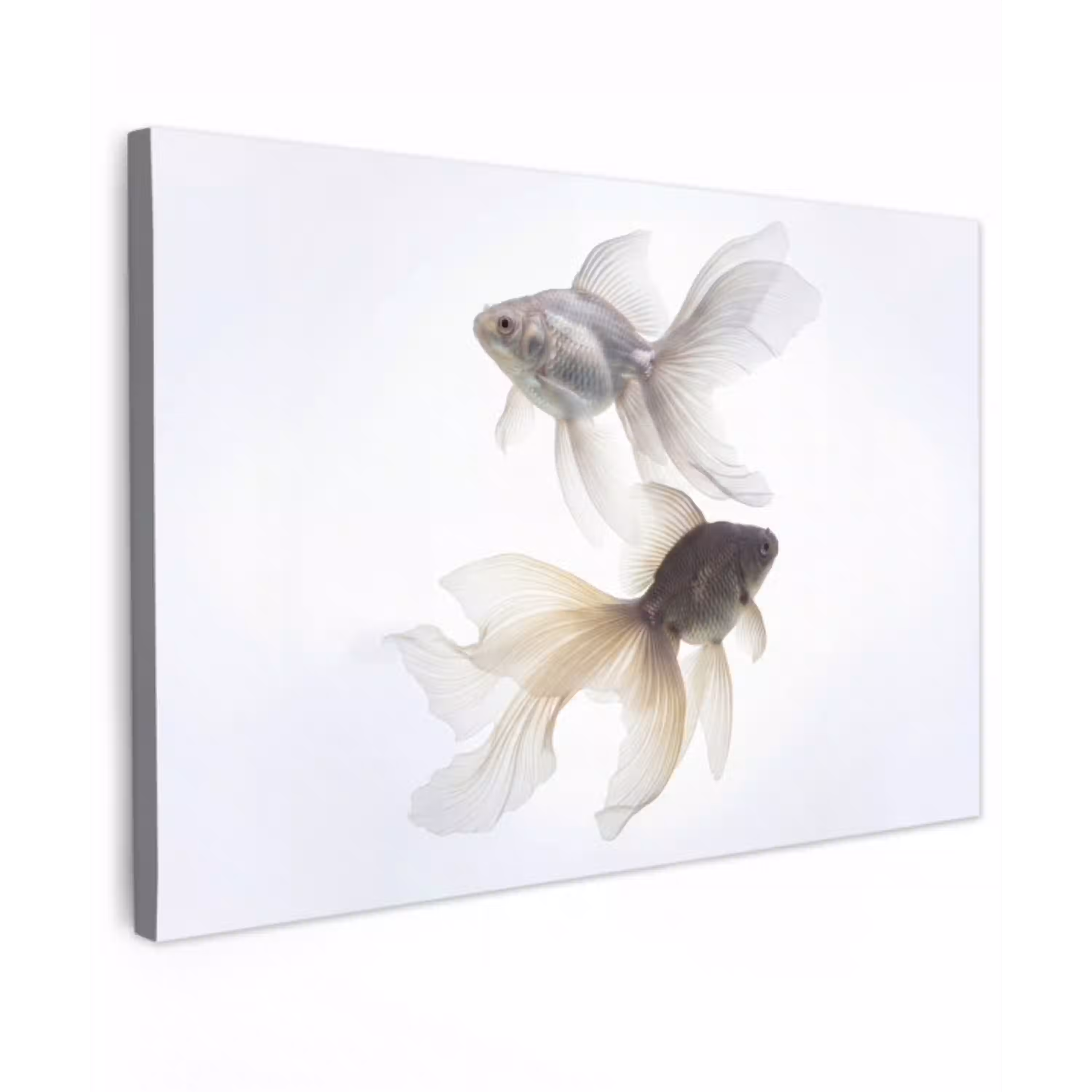 Goudvissen - Modern - Wit Tuinposter op houten frame 2 cm dik klein -3d