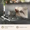 Schaap - Oog - Wit keuken achterwand spatscherm klein -usp_ES