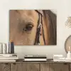 Paard - Oog - Bruin PET vilt klein -sfeer1