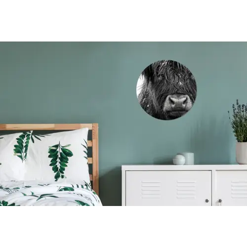 Schotse hooglander - Zwart - Wit - Sneeuwvlokken Wandcirkel aluminium klein -slaapkamer