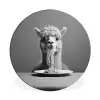 Alpaca - Pasta - Zwart - Wit - Grappig - Dieren Wandcirkel aluminium klein -3d