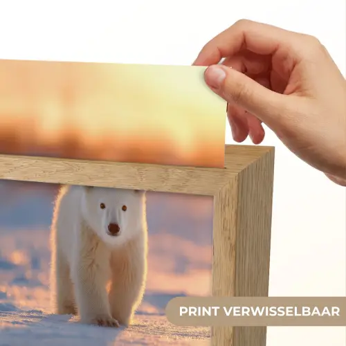 Ijsbeer - Sneeuw - Zonsopgang Light Box met kabel (Kinderlampje) klein -USP_websiteprintNL