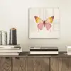 Vlinder - Illustratie - Roze plexiglas 5mm klein -sfeer1