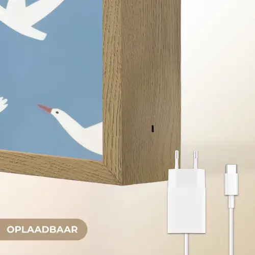 Vogels - Wit - Patroon Light Box met batterij (Wandlamp) middel -USP_websiteoplaadbaarNL