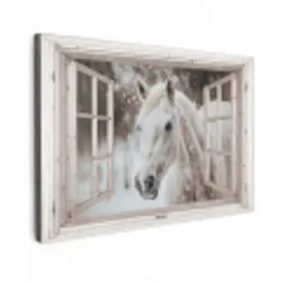 Paard - Wit - Winter - Sneeuw - Doorkijk - Dieren Tuinposter op houten frame 2 cm dik klein -3d