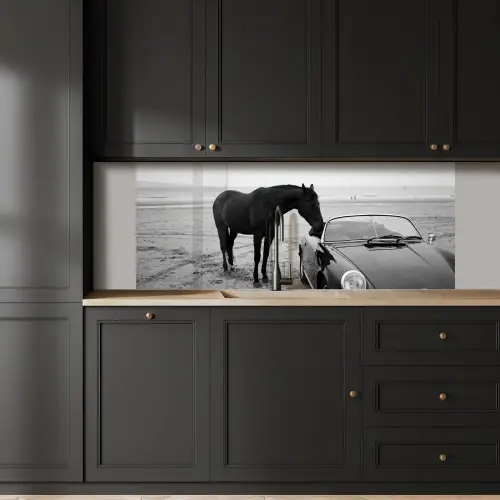 Paard - Auto - Zwart - Wit keuken achterwand 2 middel -sfeer1