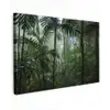 Regenwoud - Tropisch - Jungle - Bomen - Planten canvas 2cm klein -z3d