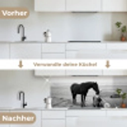 Paard - Auto - Zwart - Wit keuken achterwand 2 middel -voor-na_DE