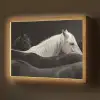 Paarden - Zwart - Wit - Kudde Light Box met batterij (Wandlamp) middel -z3d_website