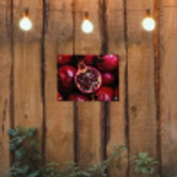 Granaatappel - Rood - Fruit tuinposter los doek klein -sfeer1