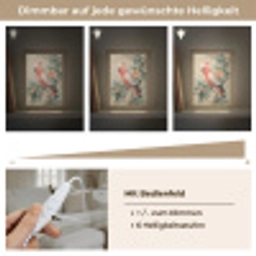 Roze kuifkaketoe - Tak met vruchten - Bladeren Light Box met kabel (Tafellamp) klein -USP_dimbaarDE