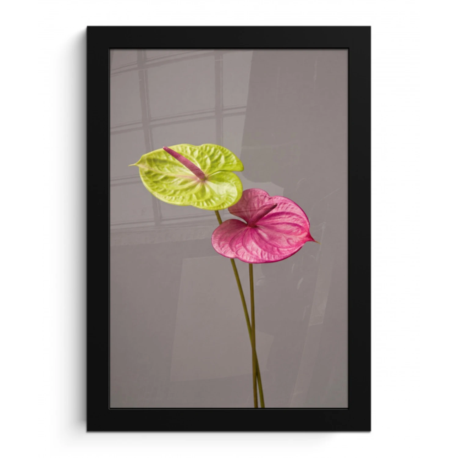 Planten - Anthurium - Groen - Roze fotolijst zwart zonder passe partout klein -3d
