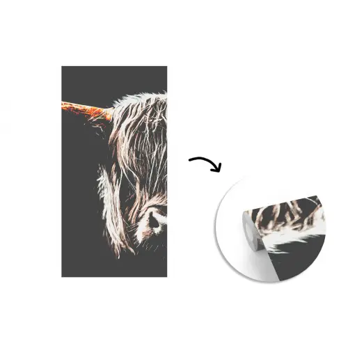 Schotse hooglander - Goud - Hoorns - Zwart wit - Koe - Dieren fotobehang vinyl groot -3d
