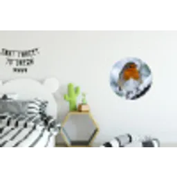 Roodborstje - Tak - Sneeuw - Winter - Levendig Wandcirkel aluminium klein -kinderkamer