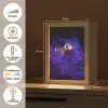 Koraal - Vis - Oranje - Zee Light Box met kabel (Tafellamp) klein -USP_NL