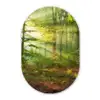 Zon - Bos - Bomen - Natuur - Herfst Wandcirkel Ovaal Forex klein -3d