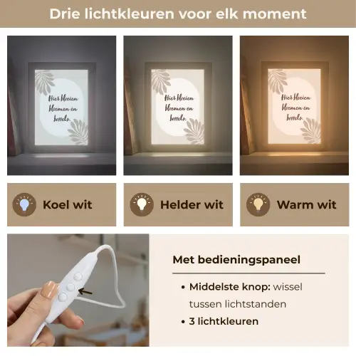 Bloemen - Quote - Zomer - Beige Light Box met kabel (Wandlamp) klein -USP_lichtkleurNL