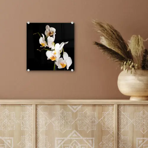 Orchidee - Bloemen - Planten - Botanisch plexiglas 5mm klein -sfeer5