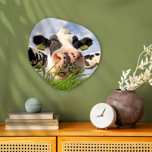 Koe - Boerderij - Gras - Dieren Wandcirkel Organisch Forex 3mm klein -sfeer2