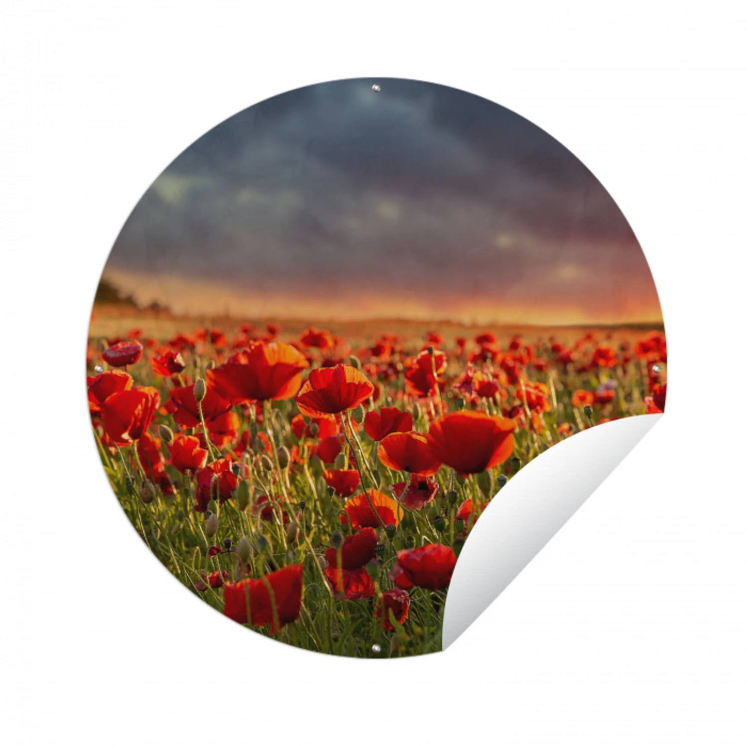 Zonsondergang - Klaprozen - Rood - Bloemen - Veld - Natuur Wandcirkel tuinposter met ringen klein -3d