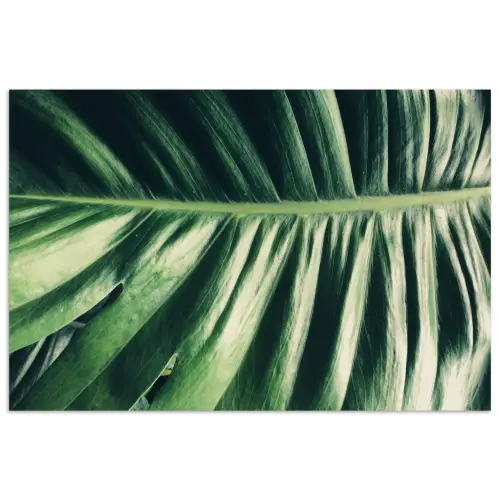 Bladeren - Tropisch - Jungle poster papier klein -3d