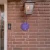 Donkerpaars - Sierlijk Naambord Rond klein -sfeer7-rond-XS