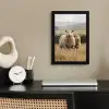 Schapen - Weidenlandschap - Heuvels fotolijst zwart zonder passe partout klein -sfeer1