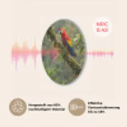 Ara - Jungle - Rood Akoestische PET Vilt - Rond klein -USP_DE