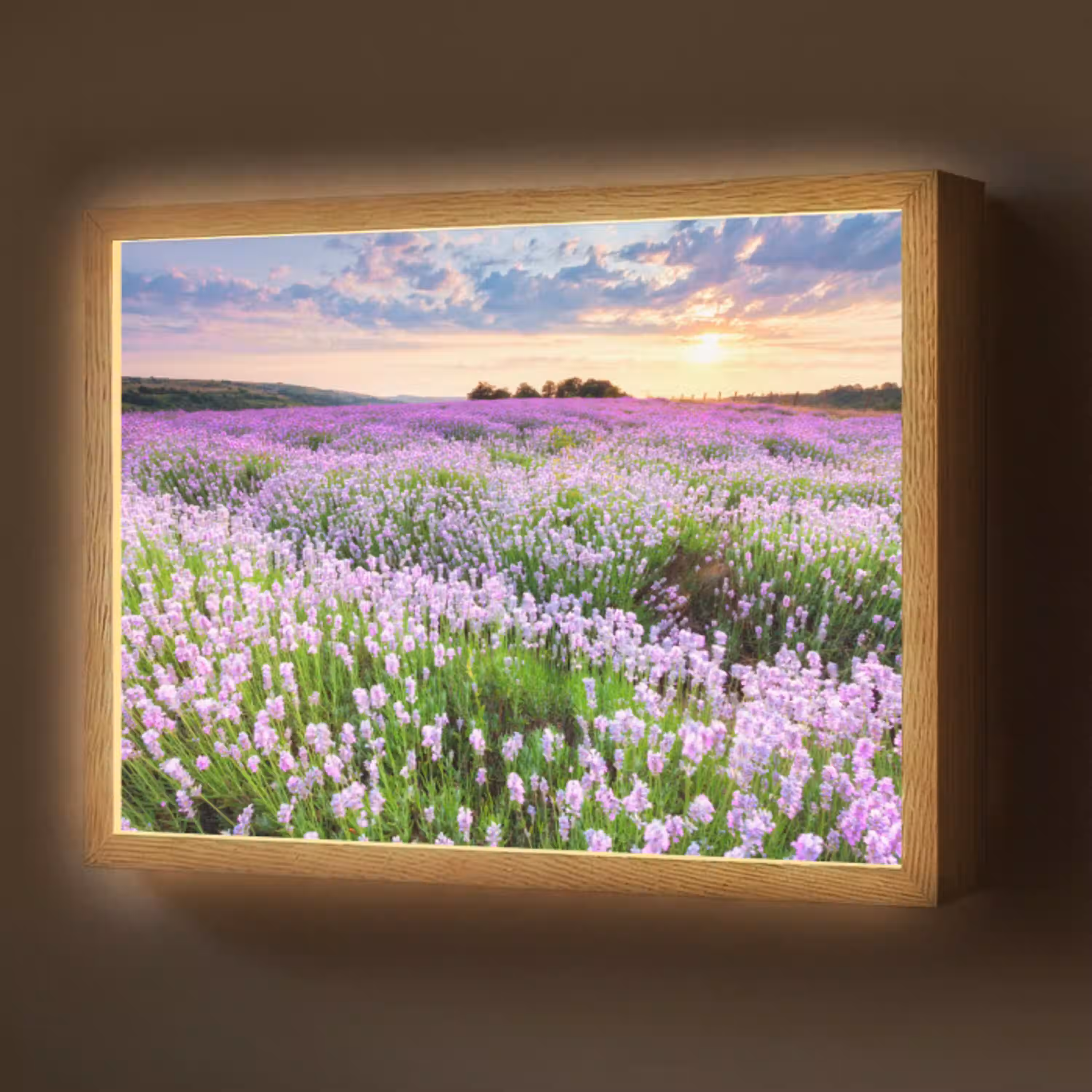 Lavendel - Bloemen - Zonsondergang - Paars - Weide Light Box met batterij (Wandlamp) middel -z3d_website