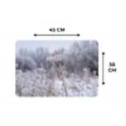 Schermbloem - Rijp - Kristallen - Winter - Delicaat Placemat vinyl groot -specs