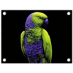 Papegaai - Veren - Opvallend - Groen tuinposter los doek klein -3d