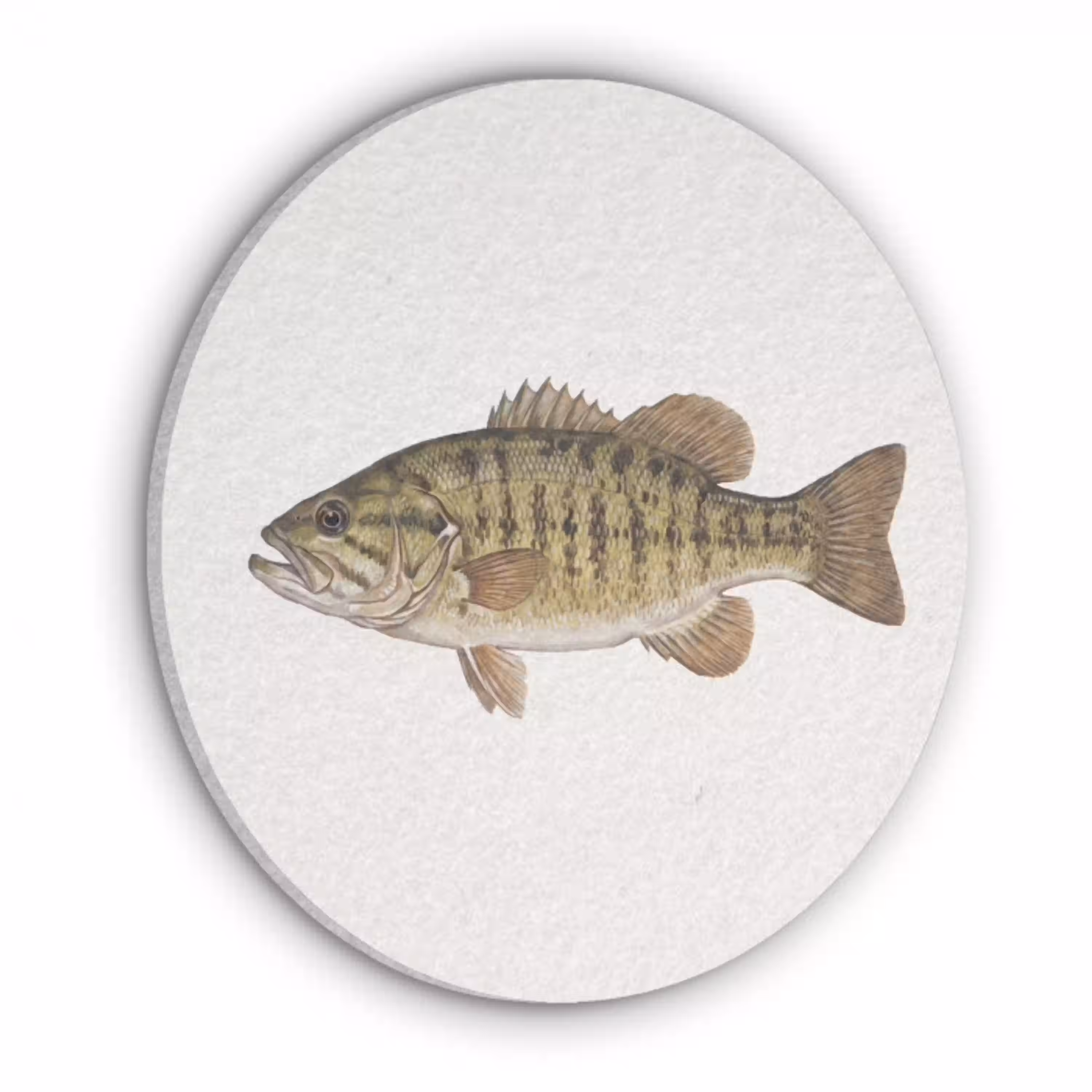 Vissen - Natuur - Vintage Akoestische PET Vilt - Rond klein -3d