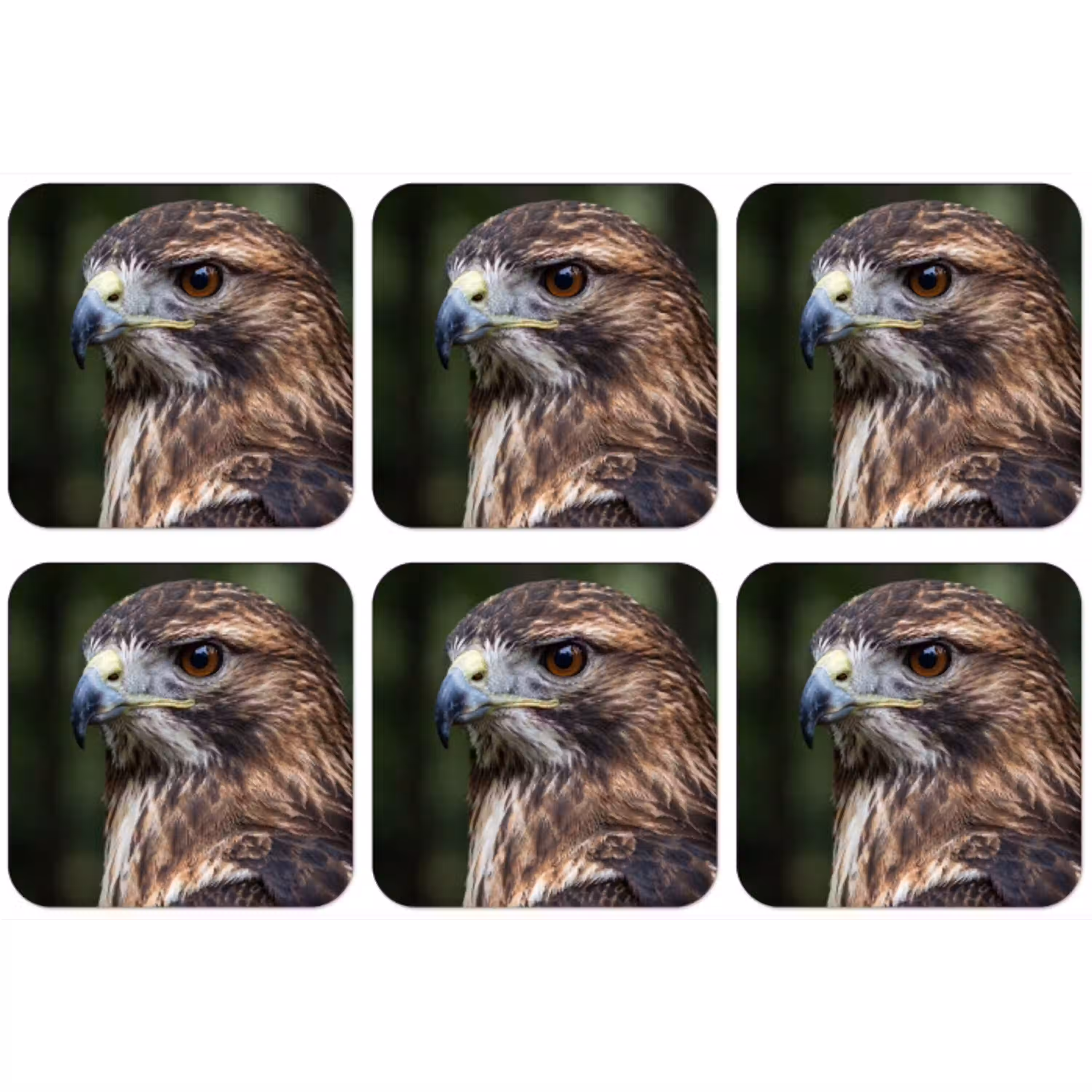 Buizerd - Roofvogel - Natuur - Bruin onderzetter kurk middel -zkaufland3dotto