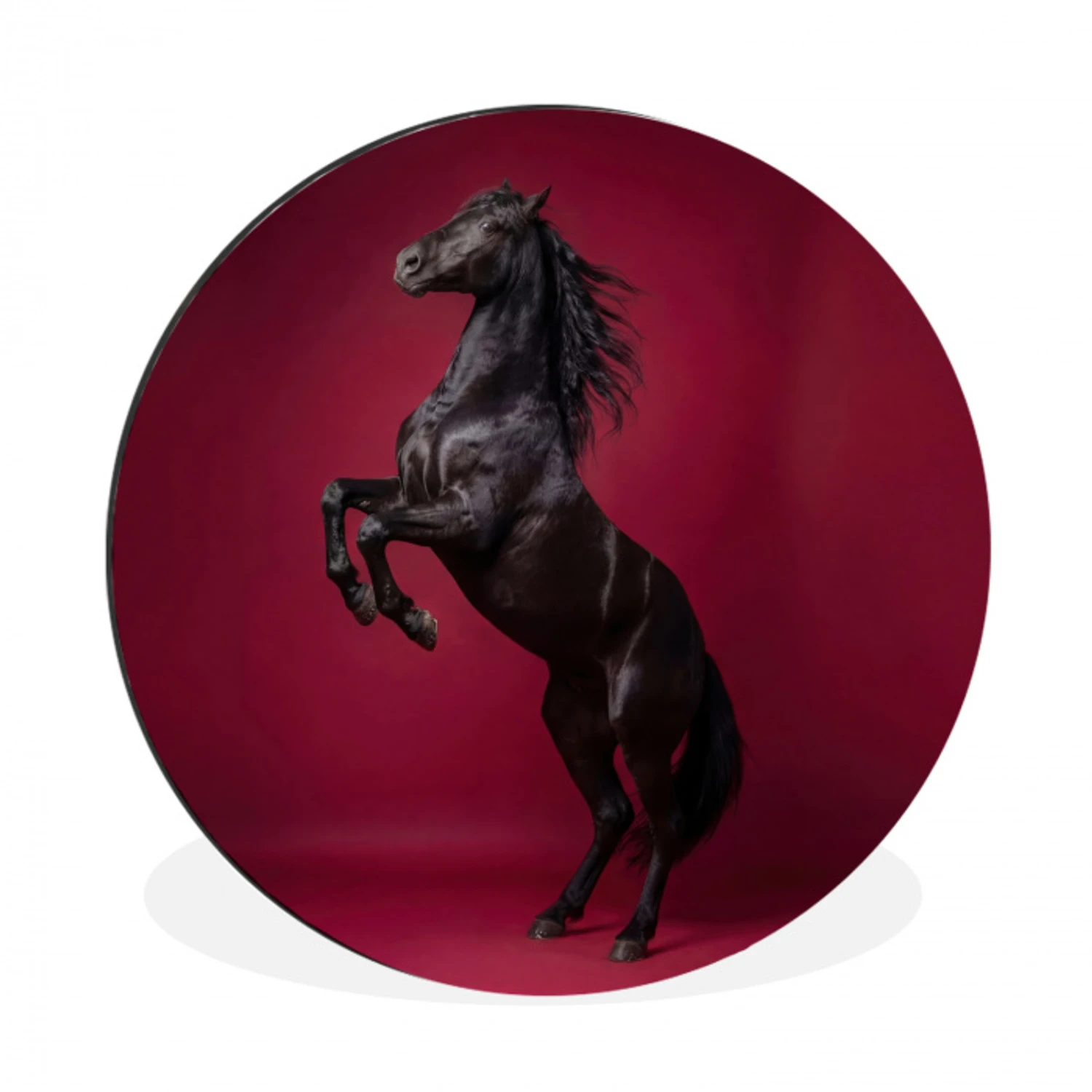 Hengst - Steigert - Rood Wandcirkel aluminium klein -3d