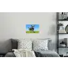 Koeien - Weiland - Gras - Dieren - Boerderij Muursticker klein -slaapkamer