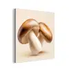 Champignons - Zacht - Beige aluminium wit klein -3d