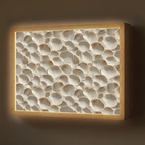 Schelpen - Waaiervorm - Wit Light Box met batterij (Wandlamp) middel 907 -z3d_website