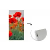 Klaproos - Bloemen - Wilde bloemen fotobehang vinyl groot -3d
