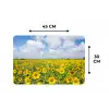 Zonnebloemen - Bloemen - Wolken - Natuur - Geel - Landschap Placemat vinyl groot -specs