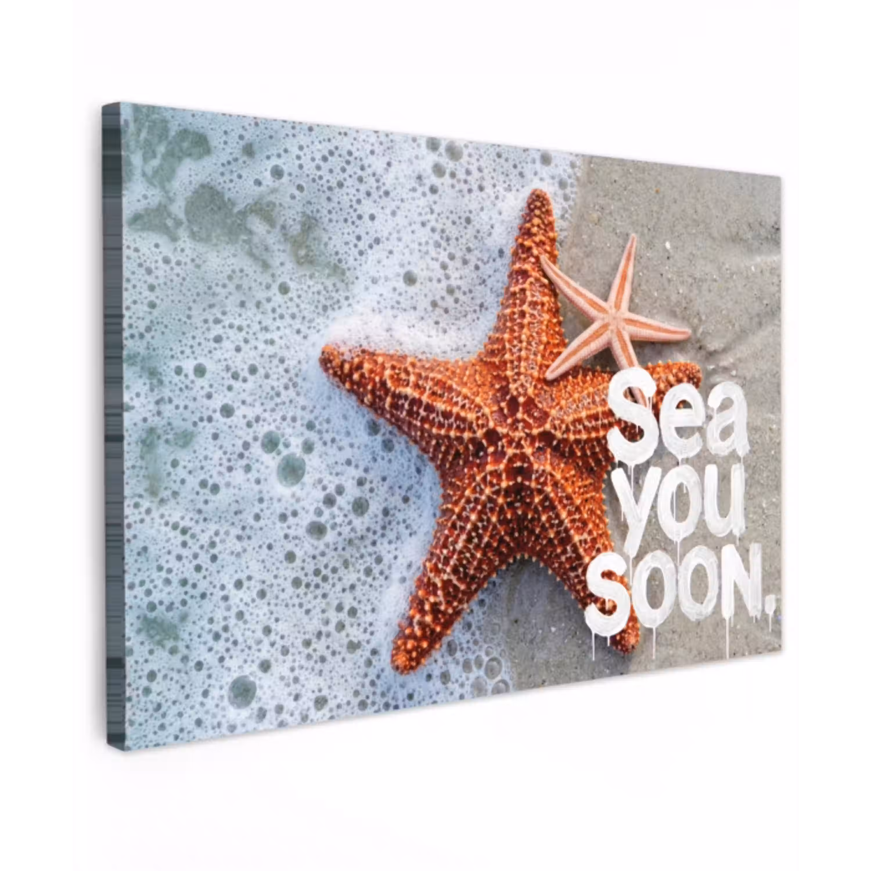 Sea you soon - Zeester - Zee Tuinposter op houten frame 2 cm dik klein -3d
