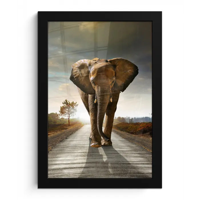 Olifant - Weg - Dieren - Zonsondergang - Landschap fotolijst zwart zonder passe partout klein -3d