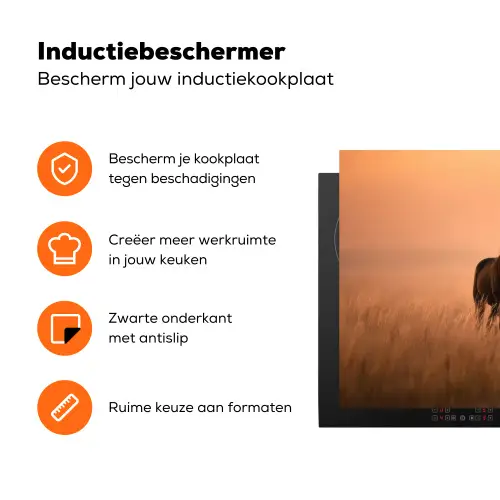 Paard - Grasveld - Zonsondergang Inductie beschermer vinyl 3mm klein -zzzzzzz-td-ups