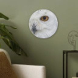Sneeuwuil - Oog - Wildlife - Wit Akoestische PET Vilt - Rond klein -sfeer2