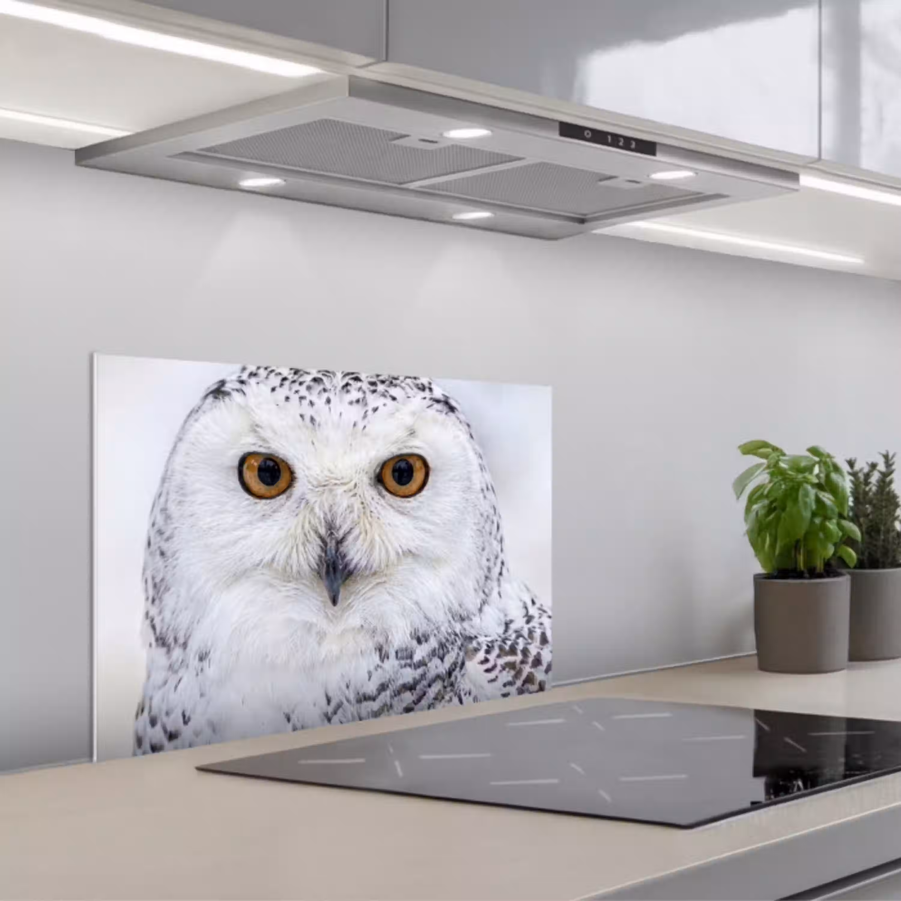 Sneeuwuil - Oog - Wildlife - Wit keuken achterwand spatscherm klein -3d_schuin