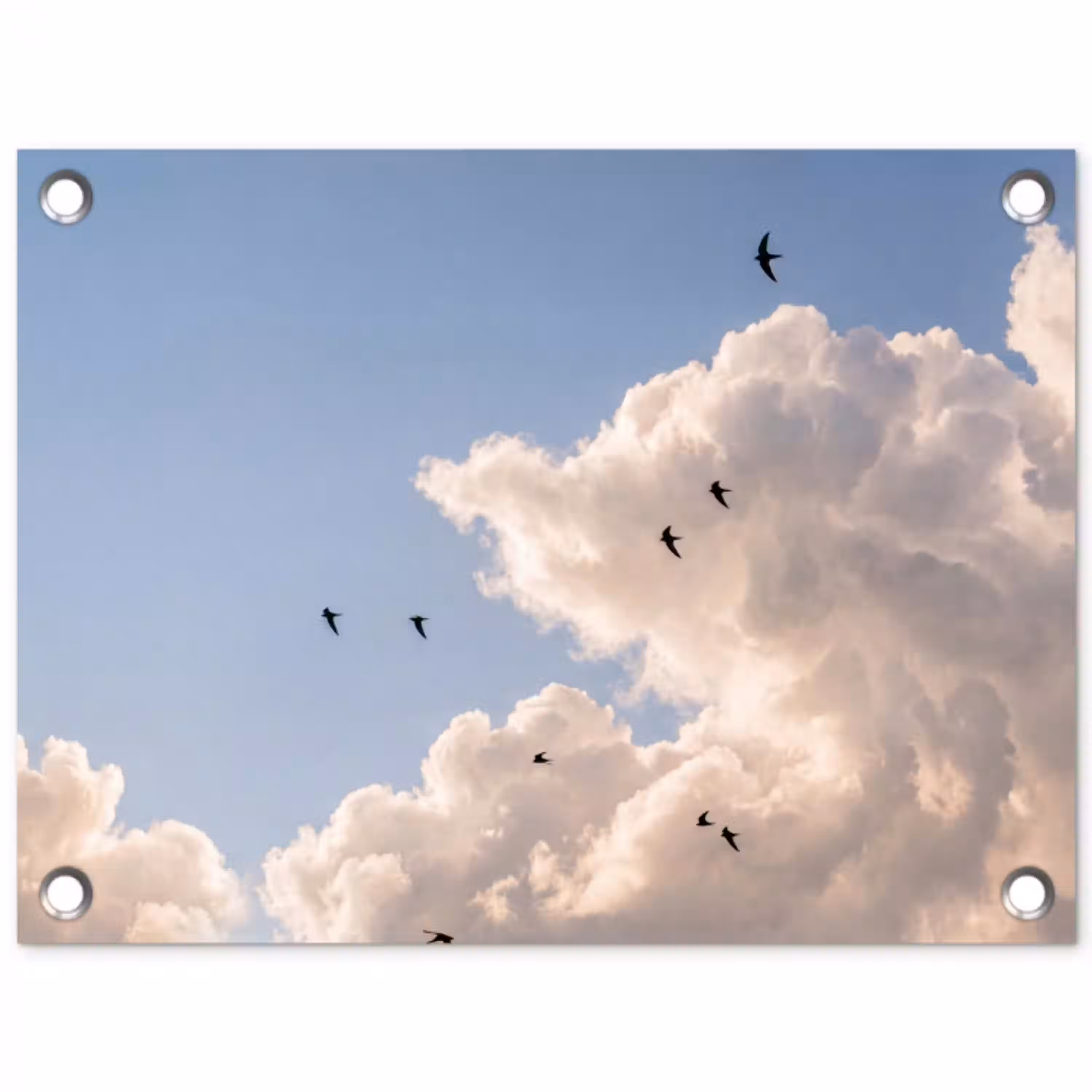 Vogel - Vlucht - Wolken - Natuur - Blauw tuinposter los doek klein -3d