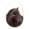 Portret - Paard - Elegant Wandcirkel Ovaal Aluminium middel -3d
