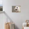 Uil - Bruin - Wit tuinposter los doek klein -sfeer8