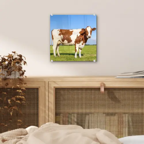 Koeien - Boerderij - Gras- Natuur - Dieren plexiglas 5mm klein -sfeer4