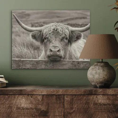 Schotse hooglander - Zwart - Wit - Hout PET vilt klein -sfeer2
